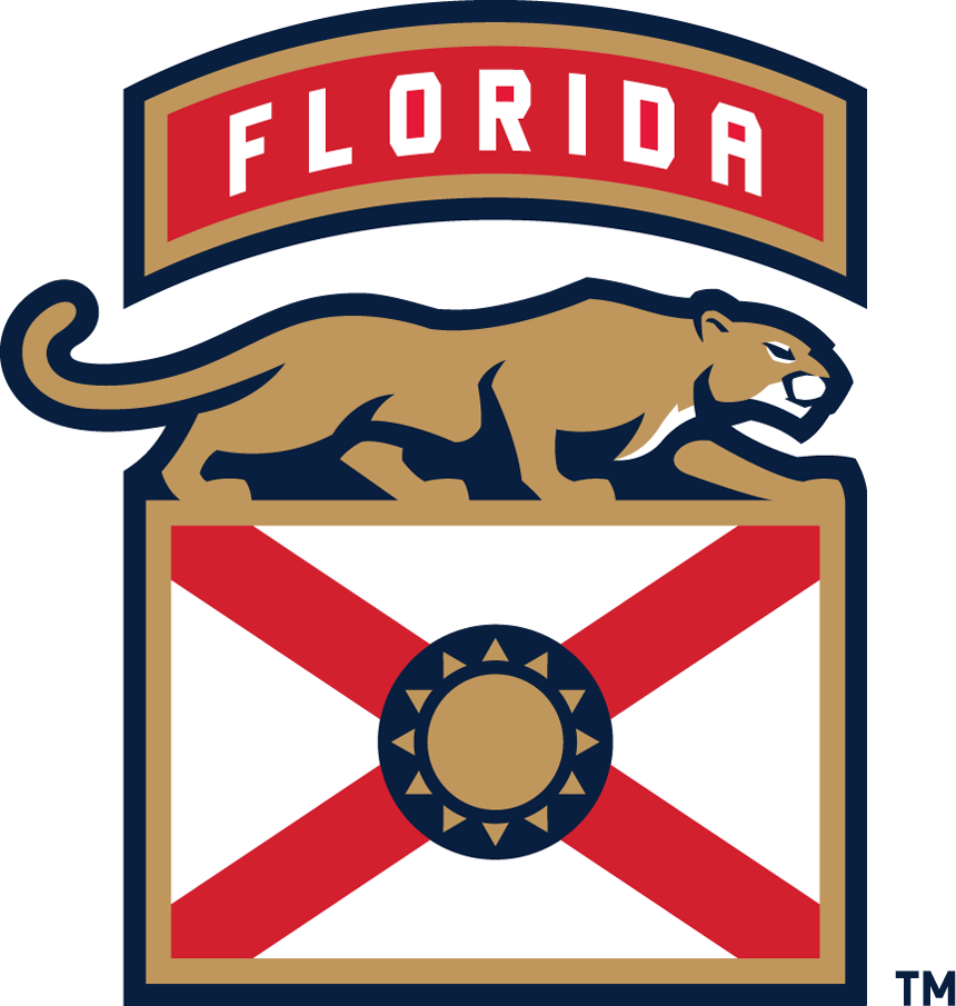 Florida Panthers 2016-Pres Alternate Logo iron on transfers for fabric version 4